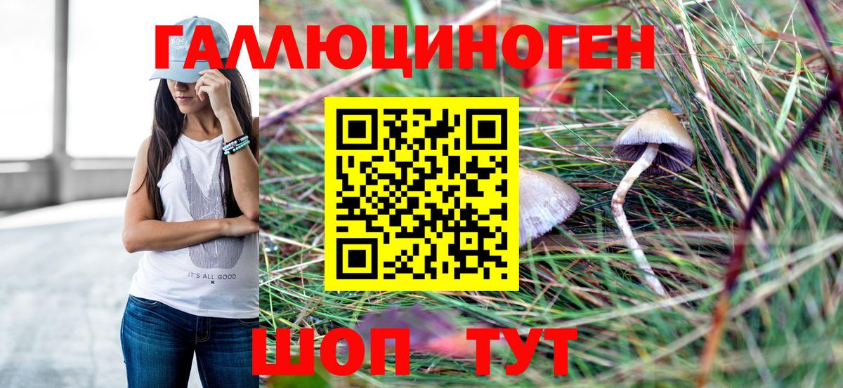 Псилоцибиновые грибы MAGIC MUSHROOMS Сланцы