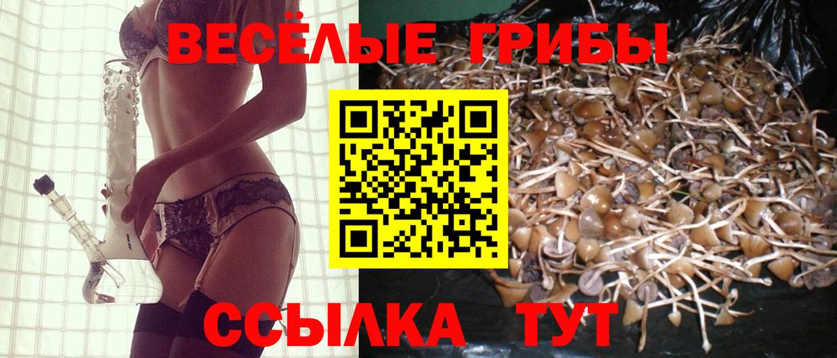Псилоцибиновые грибы прущие грибы  Псилоцибиновые грибы Psilocybe  Сланцы  хочу   Вход с VPN 