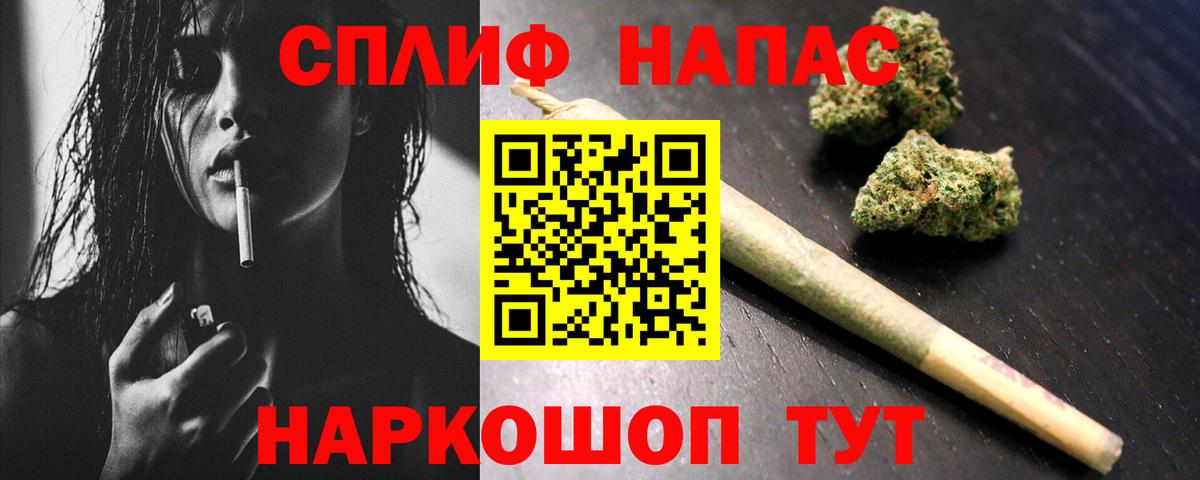 Канабис семена Сланцы
